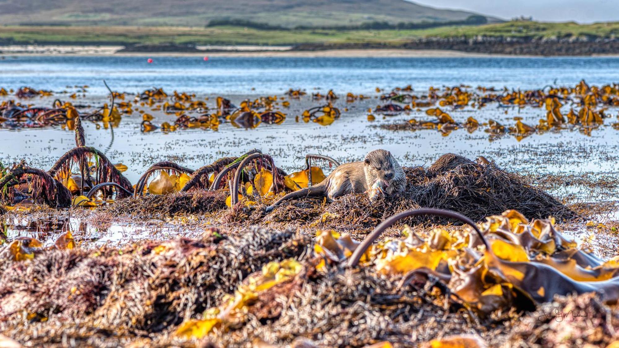 North Uist Lodges Tigharry Luaran gambar